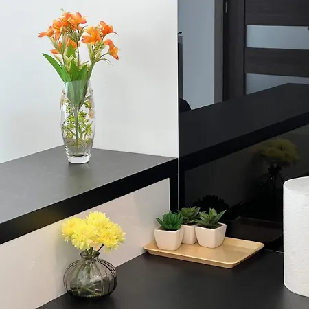 Notch בידגוז'יז'